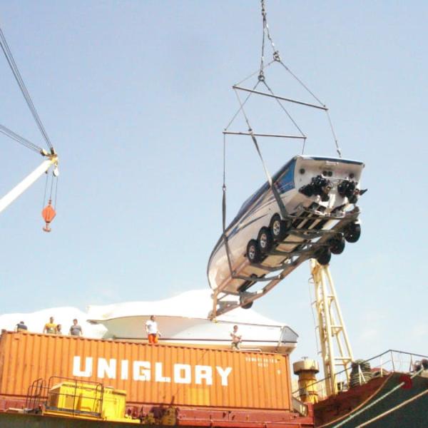 Cargo Surveys
