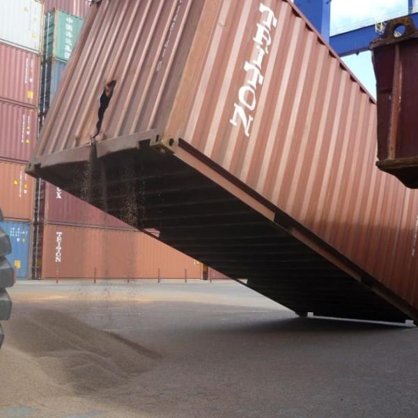 Cargo Surveys