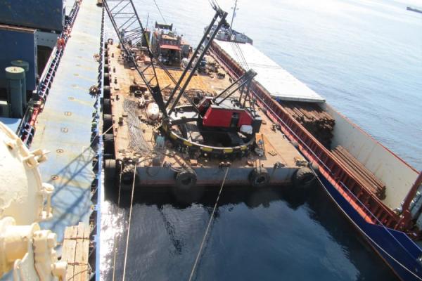 Cargo Surveys