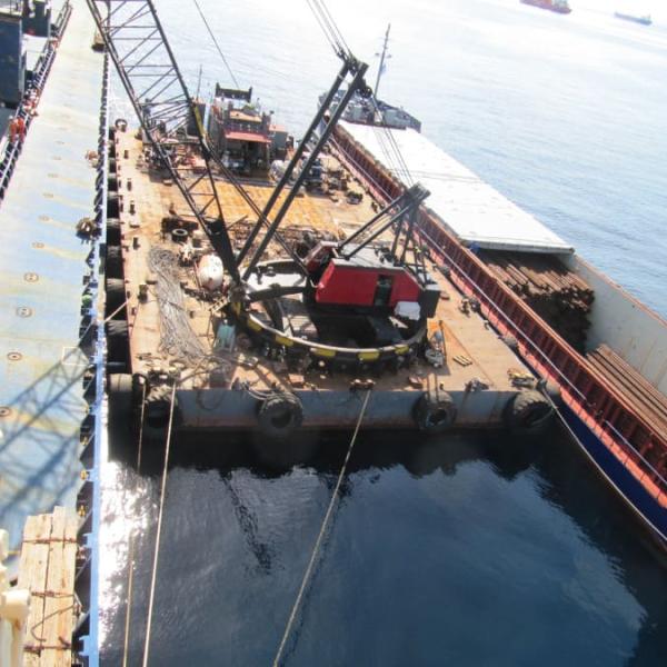 Cargo Surveys