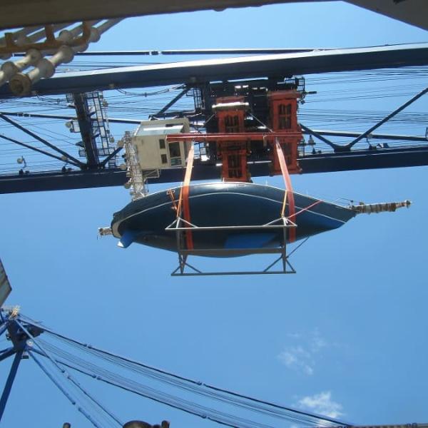 Cargo Surveys