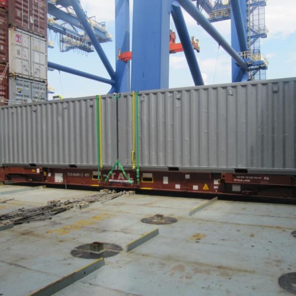 Lashing Surveys