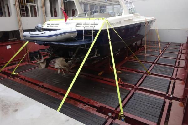 Lashing Surveys