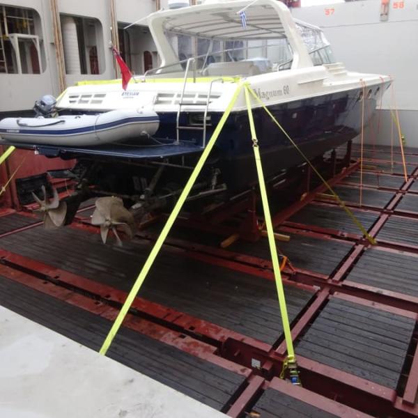 Lashing Surveys